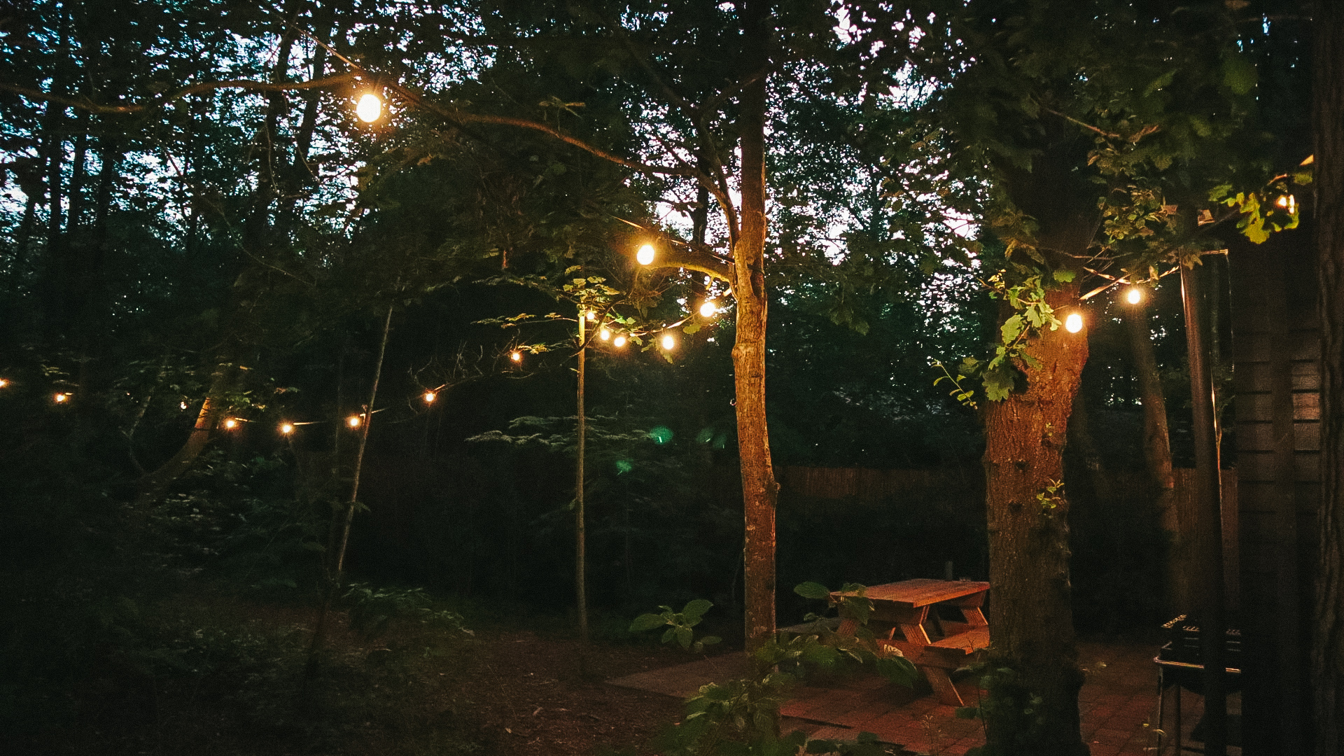 Cabin exterior at dusk with string lights