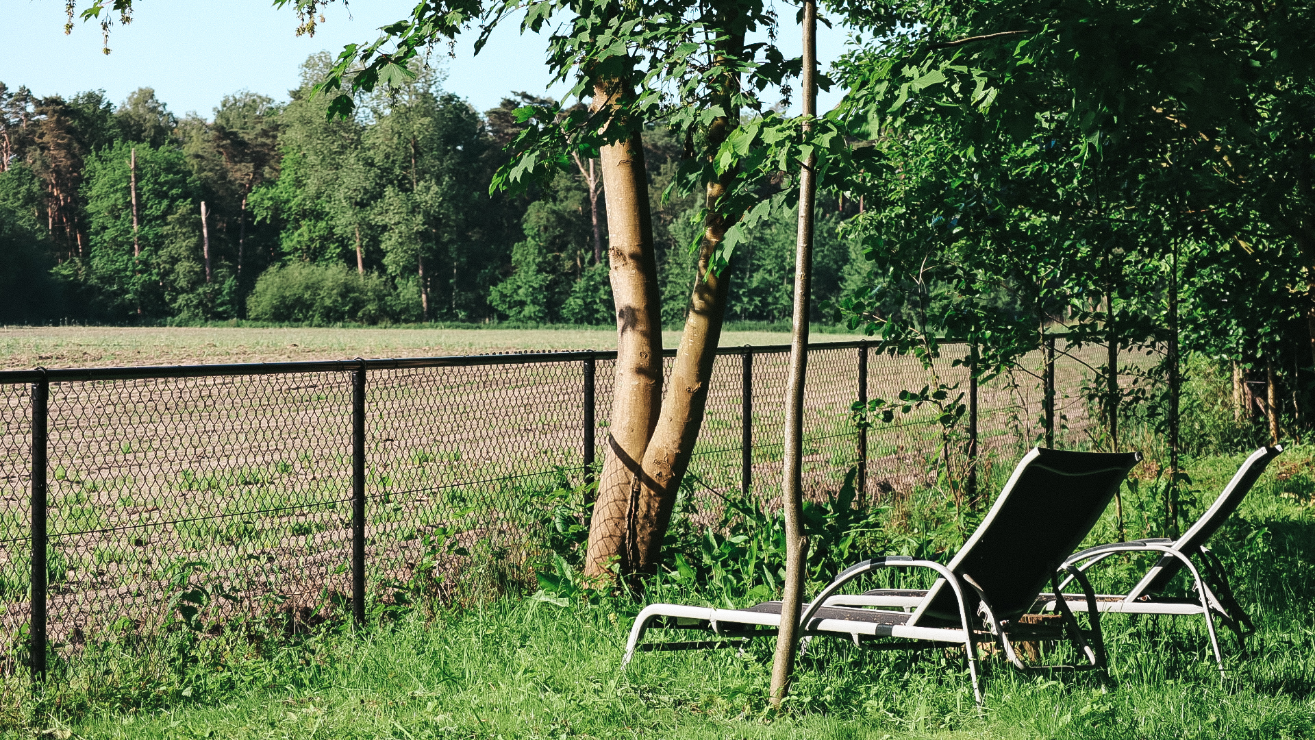 Lounge chairs facing the field