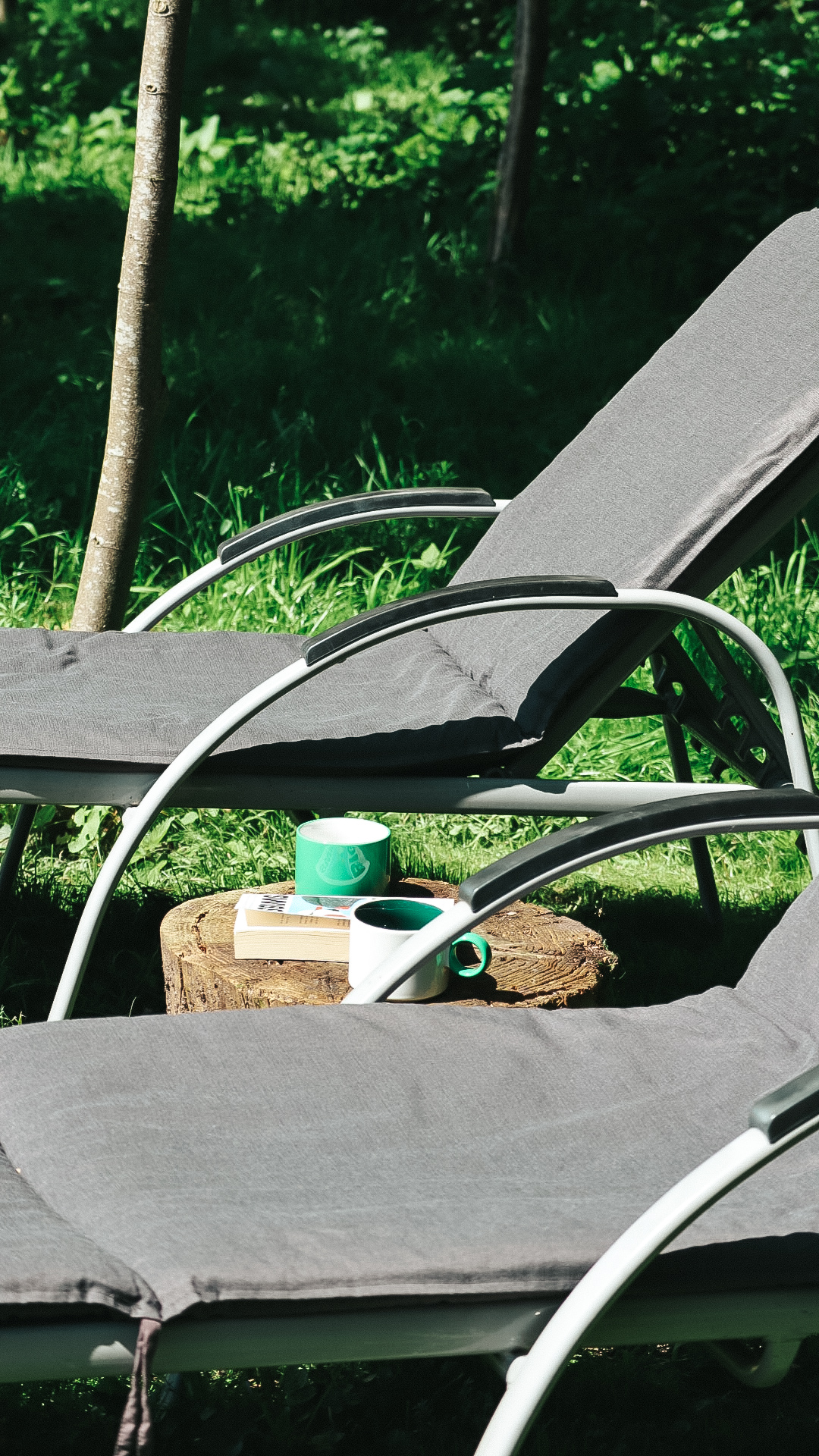 Garden lounge chairs with coffee