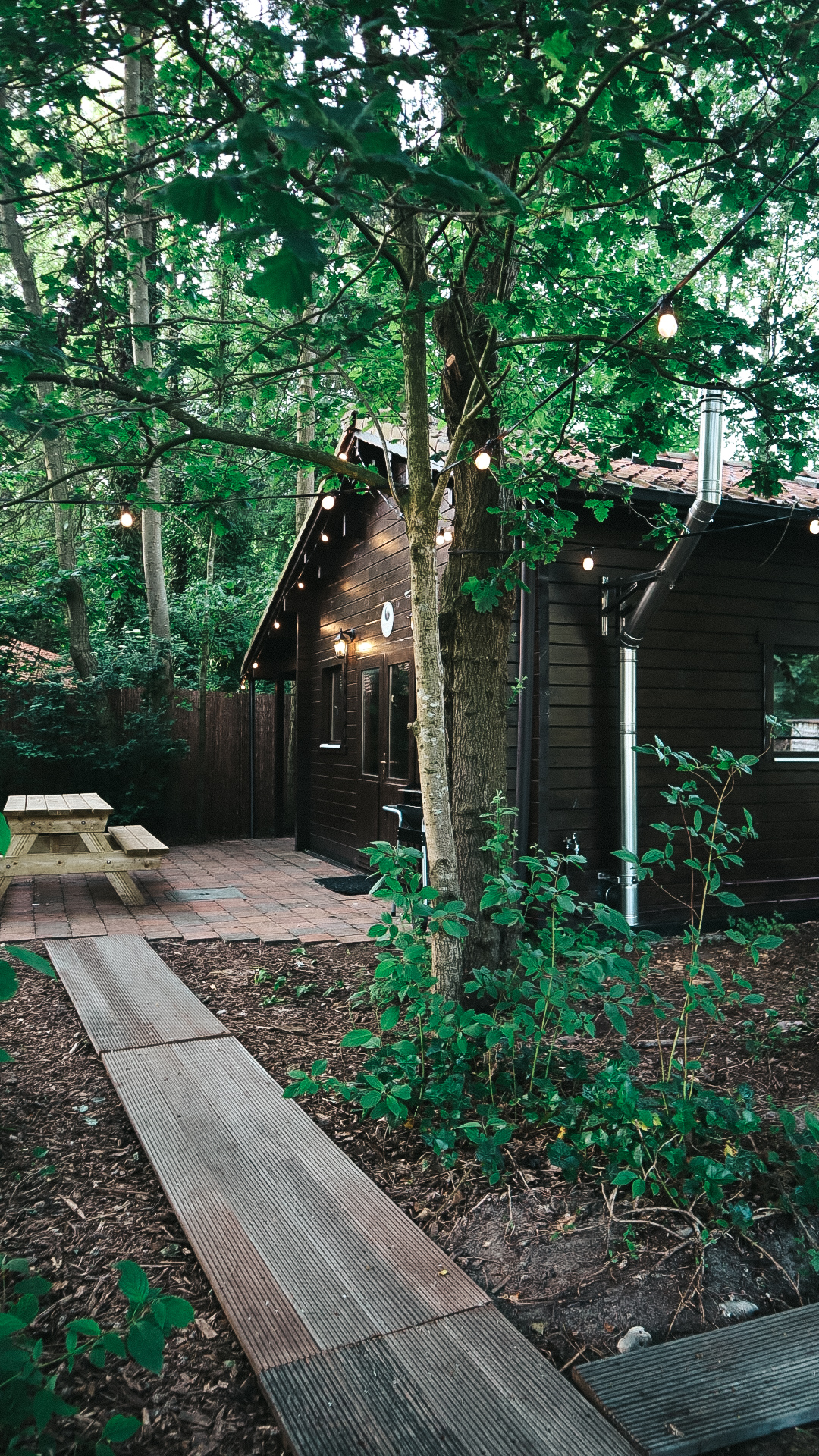 Path to the cabin with string lights