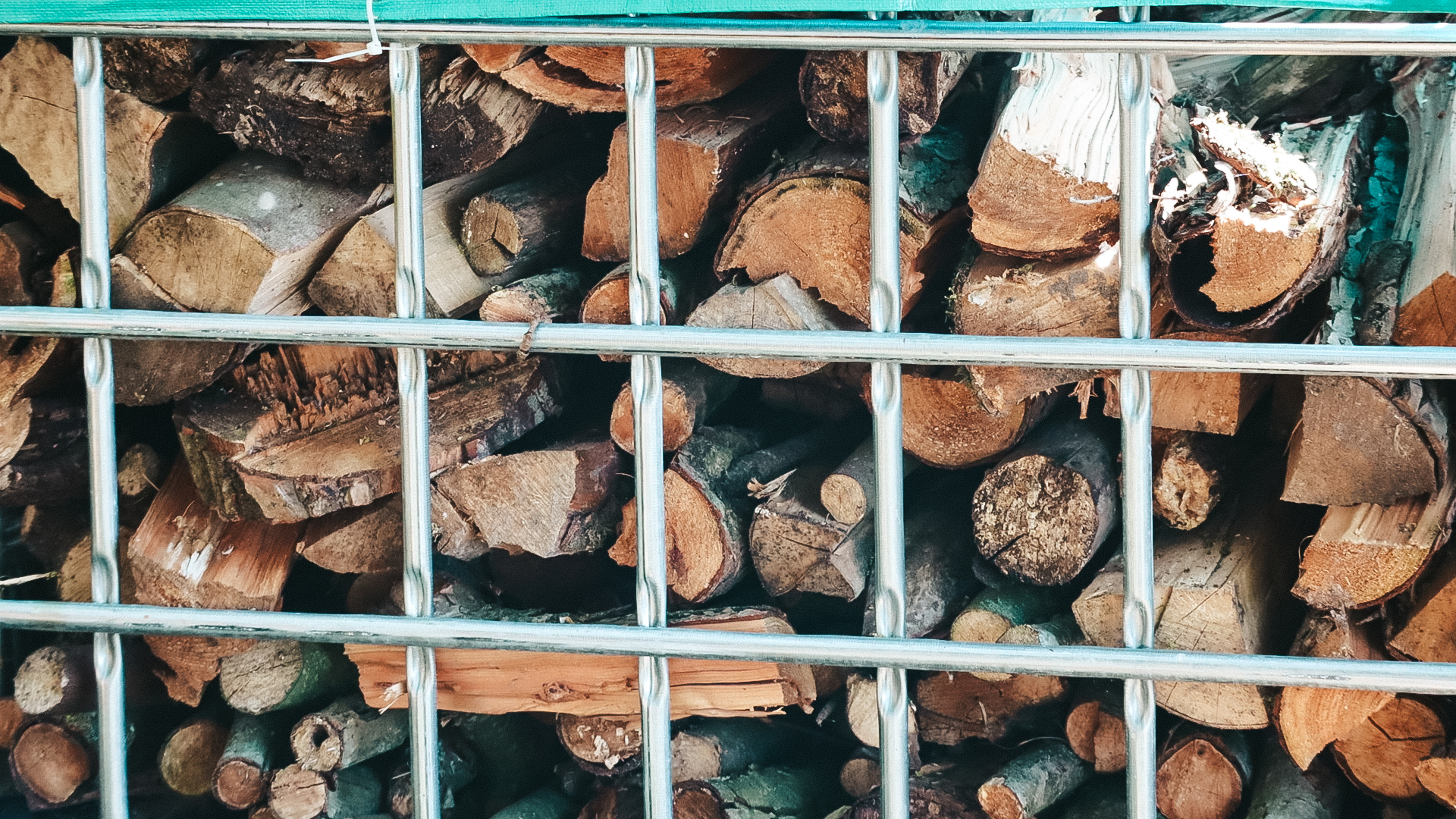 Stacked firewood